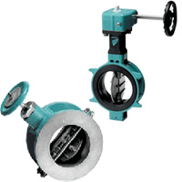 TomoeButterflyValve͵y