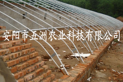 䓹ܴ ذҴ 