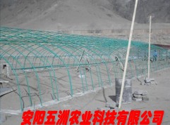 䓹ܴ Bֳp 䓹