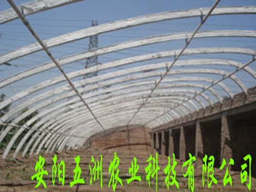 ͺϲϟo֧/ʹǼܙC/