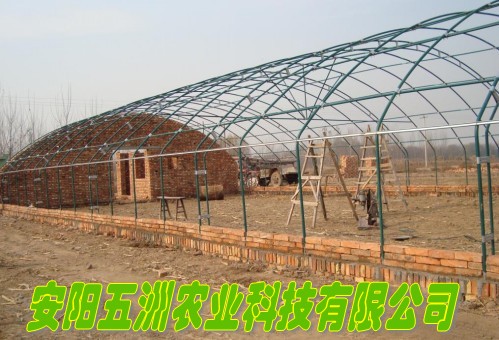 䓹 \䓹 䓹ܴr