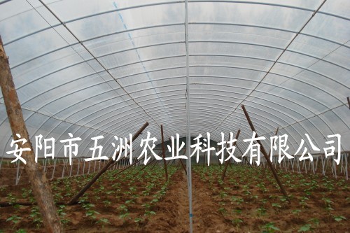 䓹ܴ Ǽ ǼܙC