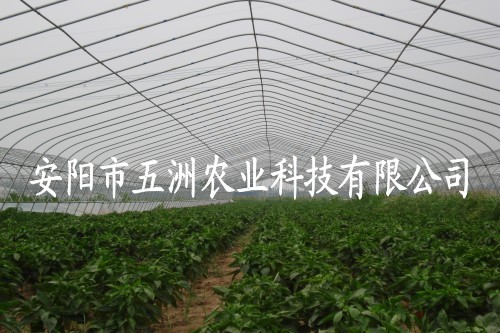 䓹ܴ֧ ֧ܙC