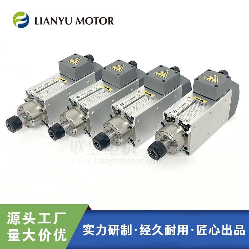 LIANYU MOTORS A㊵_۵ 늙C ߾3000D
