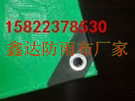 Nʽӷ겼{ɫn겼r겼aS