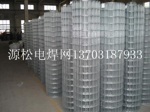 \䓽zW\䓽zW\䓽zWӱ䓽zWl