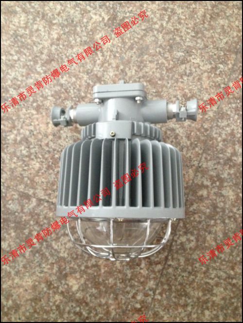 DGS50/127L(a)V,50WV,`a