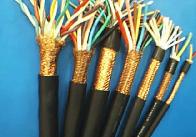 ZR-ZA-JYVP JYPV-2*2*0.5ӋC|