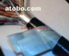 HYA HPVV HYV30*2*1.0 ͨ|