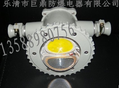 DGS12WDGS18WVDGS20WLED