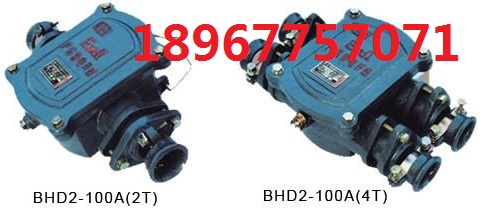 BHD2-100/660-2TӾ 2ͨV|Ӿ