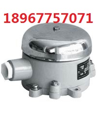 BDL-125/AC220V IP65 EXDIIBT6