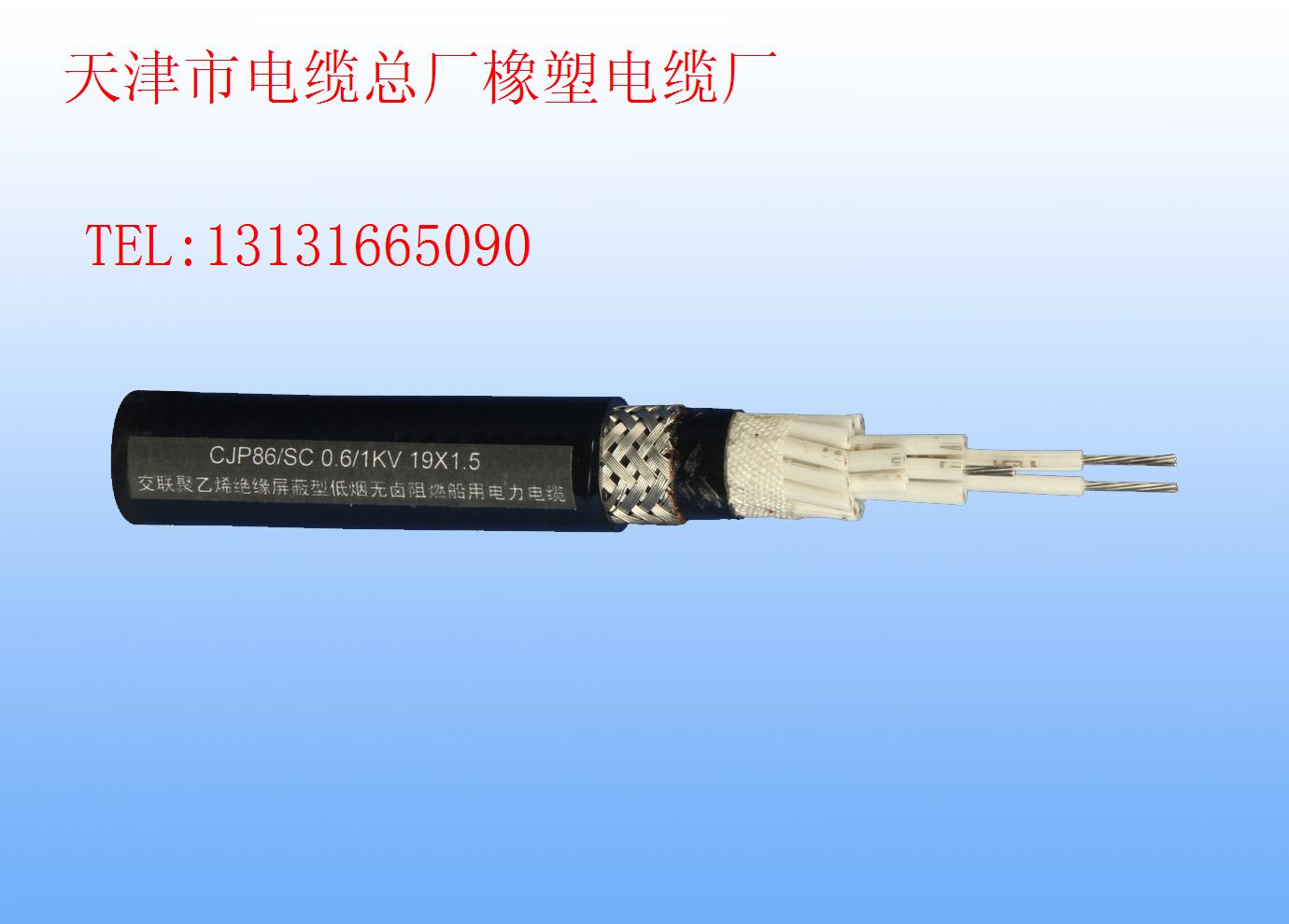 | RVSP485pg| RVSP485|
