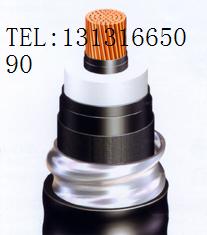 NȼZRA-YJV| 3*35+1*16ȼ|r