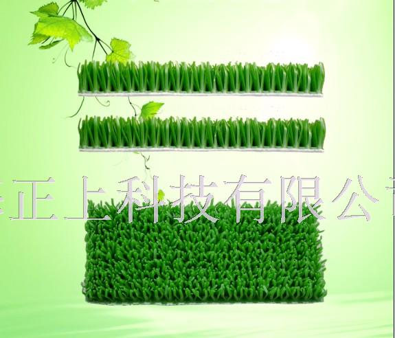 ձ