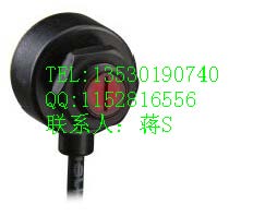 {T30SP6R_PT306E