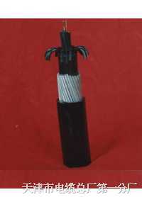 TIANYI׃l|FCMC-PFZ׃l|