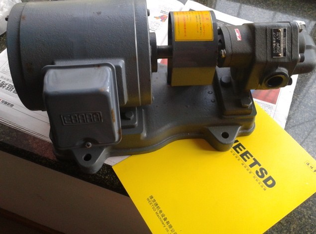 EBARA 20GPF(EBARAX݆ìF؛)