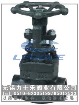 aƷYZ61Y-800LB