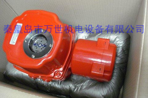 GIANT TORK