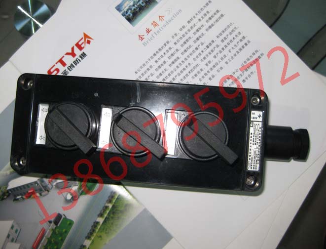 BZA8050ϵзο_P