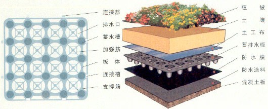 u픾GˮRˮޕrN