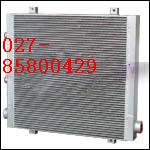 ʢՉCs2117010033