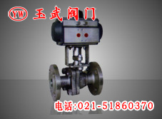 yQ641FPPL