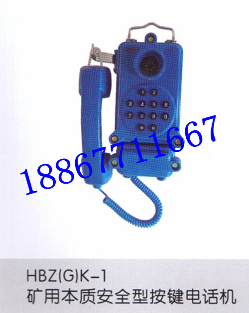 HBZ(G)K-1Vñ|ȫͰIԒC