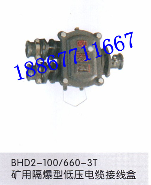 VýӾ BHD2-100-2T͉|Ӿ