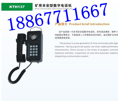 VKTH137͔ԒC