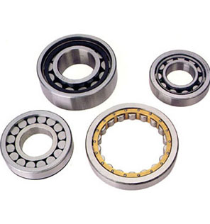 FAG N1016K.M1.SPSN1016K.M1.SPS