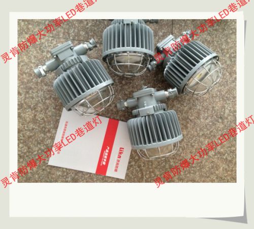 DGS50/127LaVɽ50W