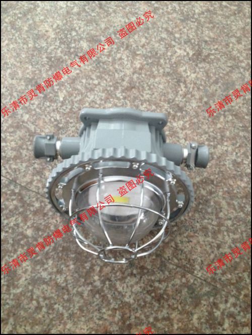 DGS30/127L(a),DGS30/127L(a)V