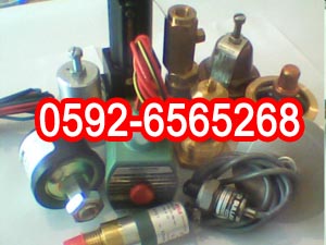 040691ՉC