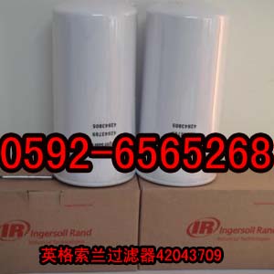 Ӣm^V42043709