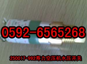 250017-992ˮ_P