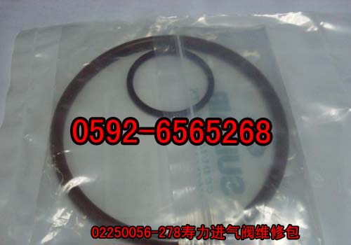 MySް02250056-27