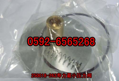 СySް250018-262