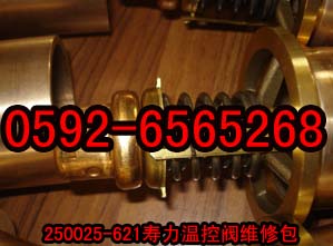 250025-621ؿySް