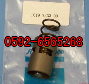 2906058800˹SޱB