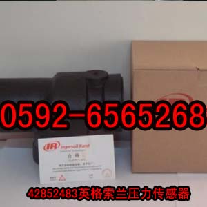 ӢmՉC43030626My