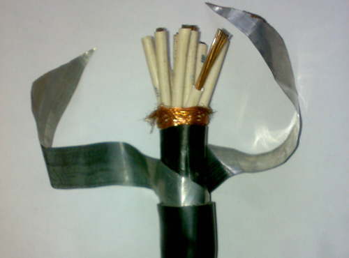 ZR-KVVP22|