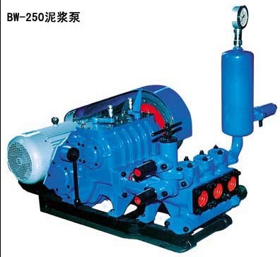 BW250{ÈrBW250{aS{