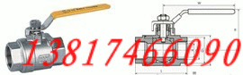 ƬʽyQ11F-16P