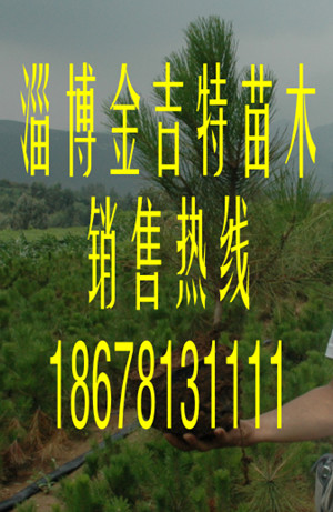 磬60-80С