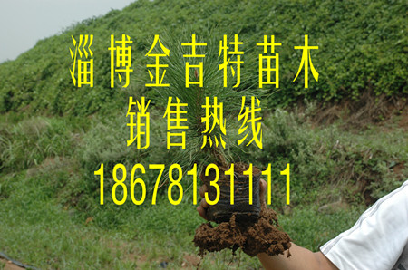 С磬20-30