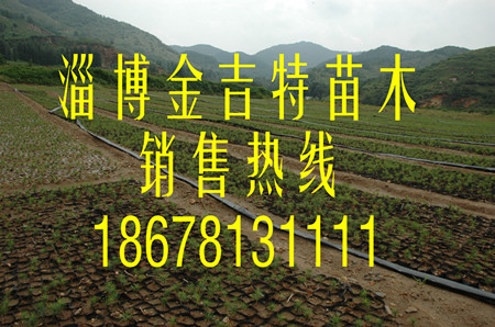 ɘ磬17-21IBС