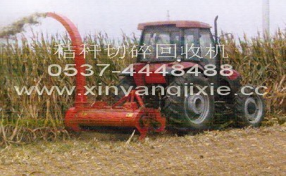 S׽նՙCaƷY ݻմCaƷB