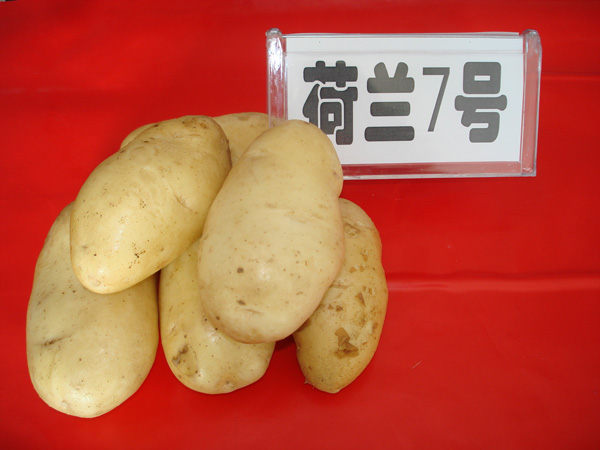 NrԺƷN߮aN